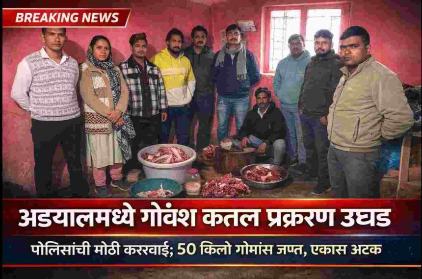 अड्याळमध्ये गोवंश कत्तल प्रकरण – 50 किलो गोमांस जप्त; पोलिस कारवाई