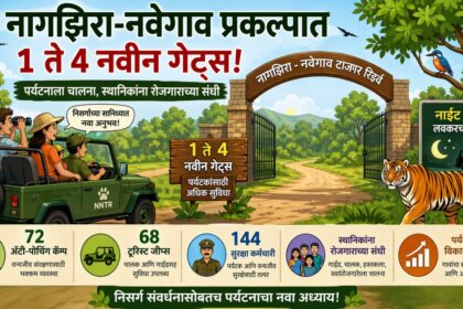 नागझिरा-नवेगाव टायगर रिझर्वमध्ये 1 ते 4 नवीन गेट्स, नाईट सफारी, पर्यटन वाढ आणि स्थानिकांना रोजगार दर्शवणारा कार्टून बॅनर