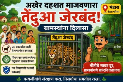 पिंजऱ्यात अडकलेला तेंदुआ, बाजूला आनंदी ग्रामस्थ आणि वन विभागाचा अधिकारी दाखवणारा कार्टून बॅनर